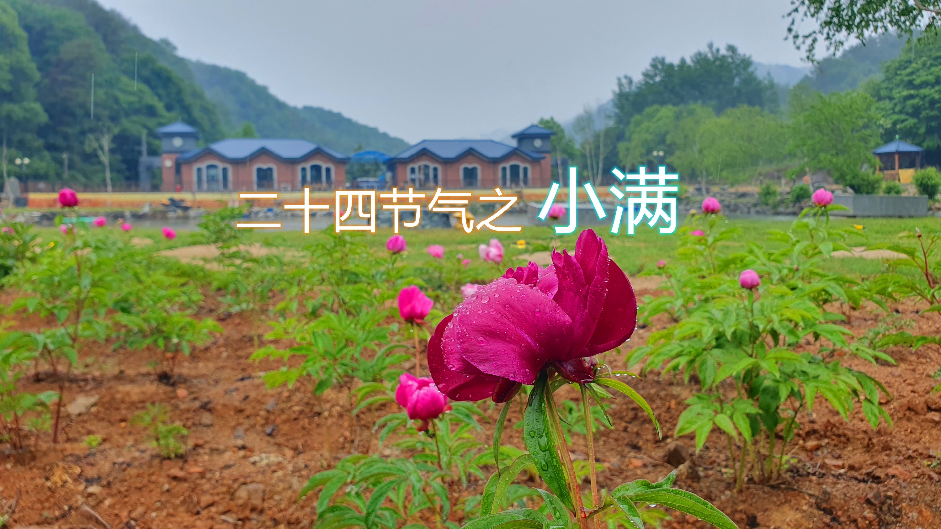 KakaoTalk_20220123_100637606.jpg