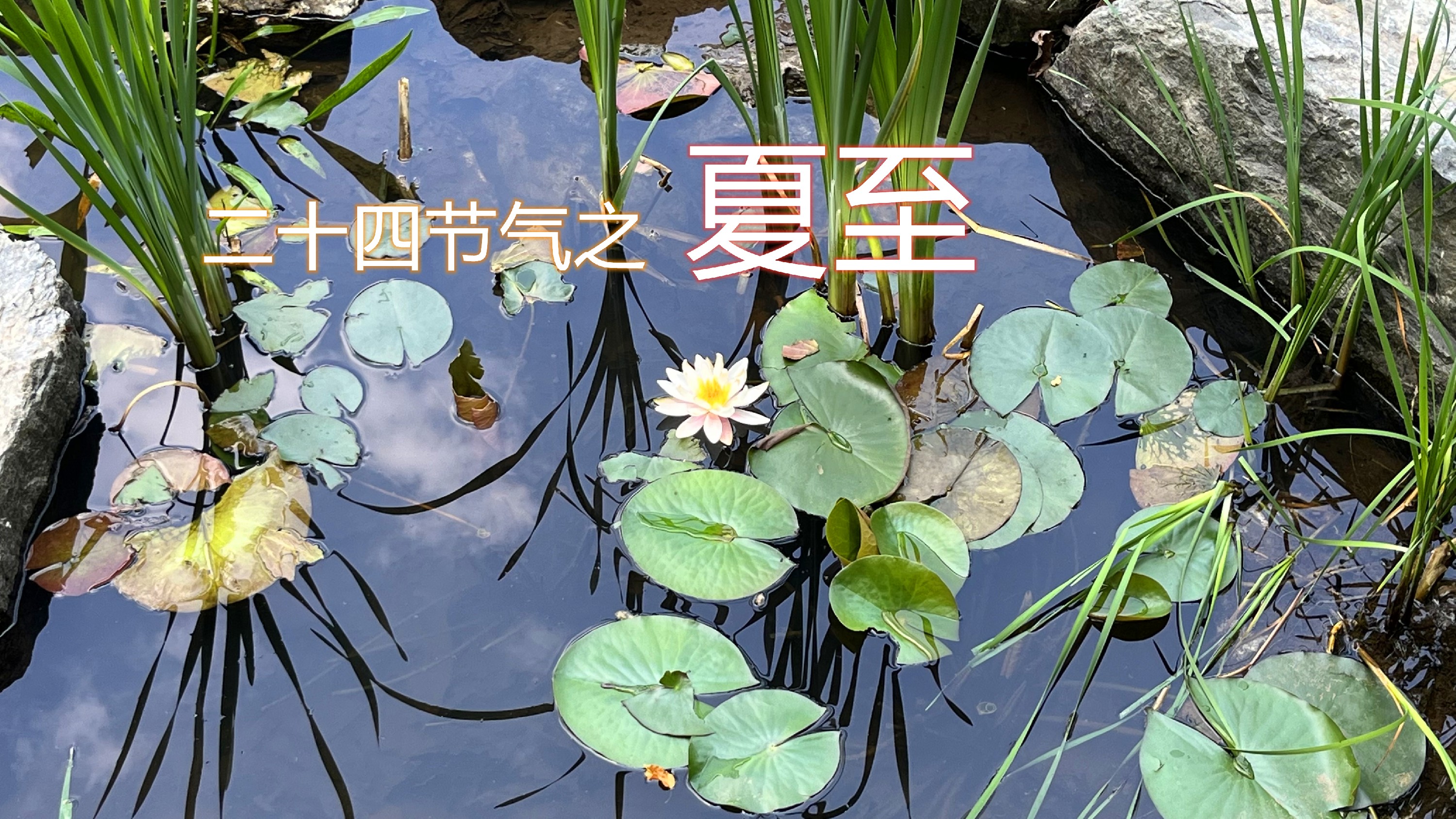 KakaoTalk_20220123_100637606.jpg